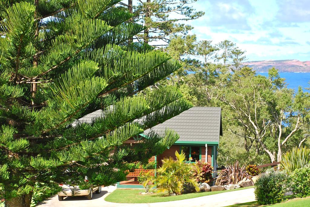 Coast Norfolk Island Burnt Pine Quarto foto