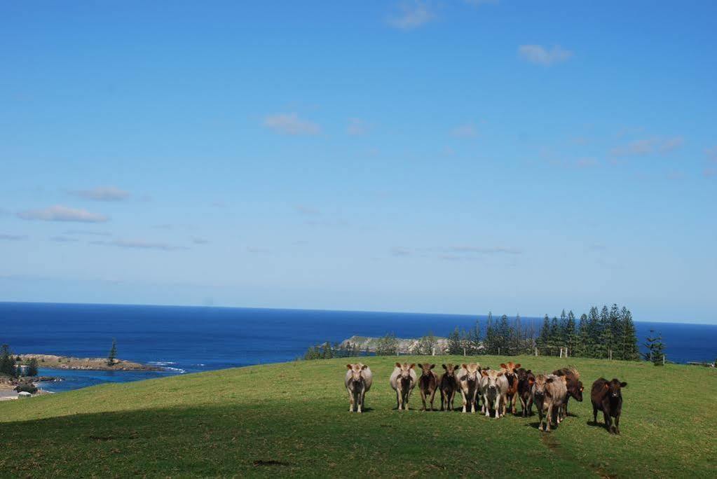 Coast Norfolk Island Burnt Pine Exterior foto